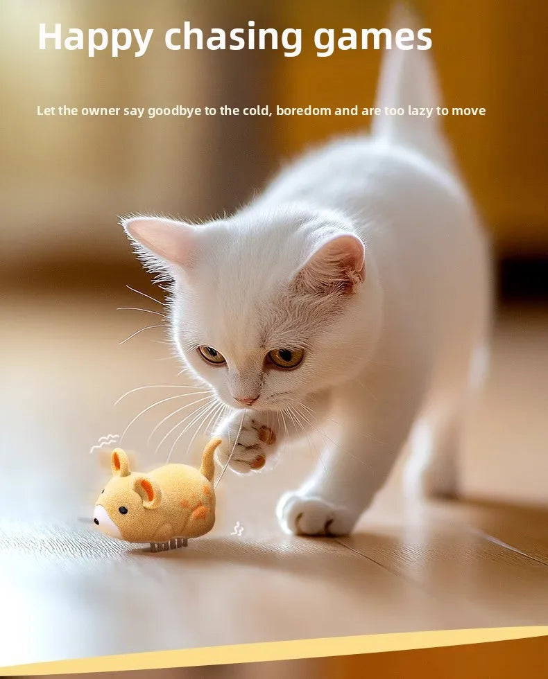 Interactive Cat Toy