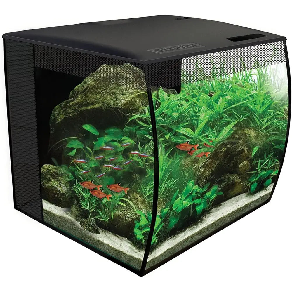 9 Gallon Glass Aquarium Kit