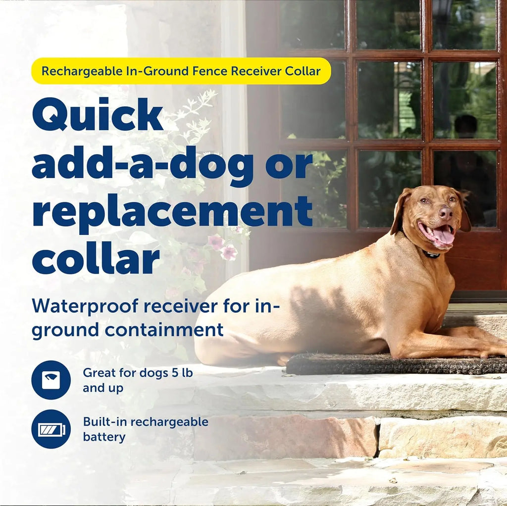 Pet Fence Collar