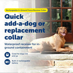 Pet Fence Collar