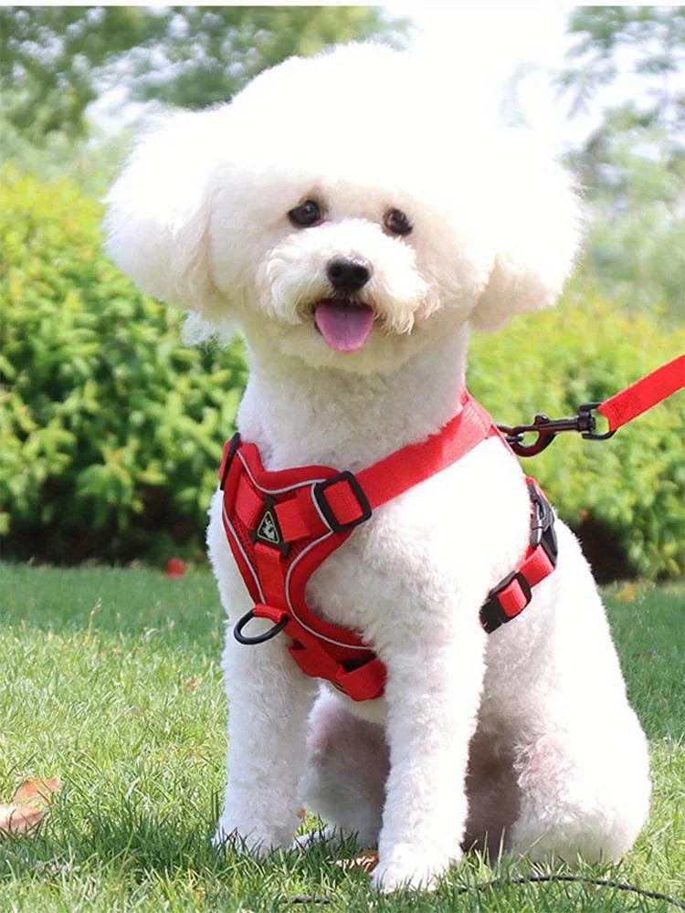 No Pull Dog Harness and Leash Set