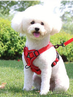 No Pull Dog Harness and Leash Set
