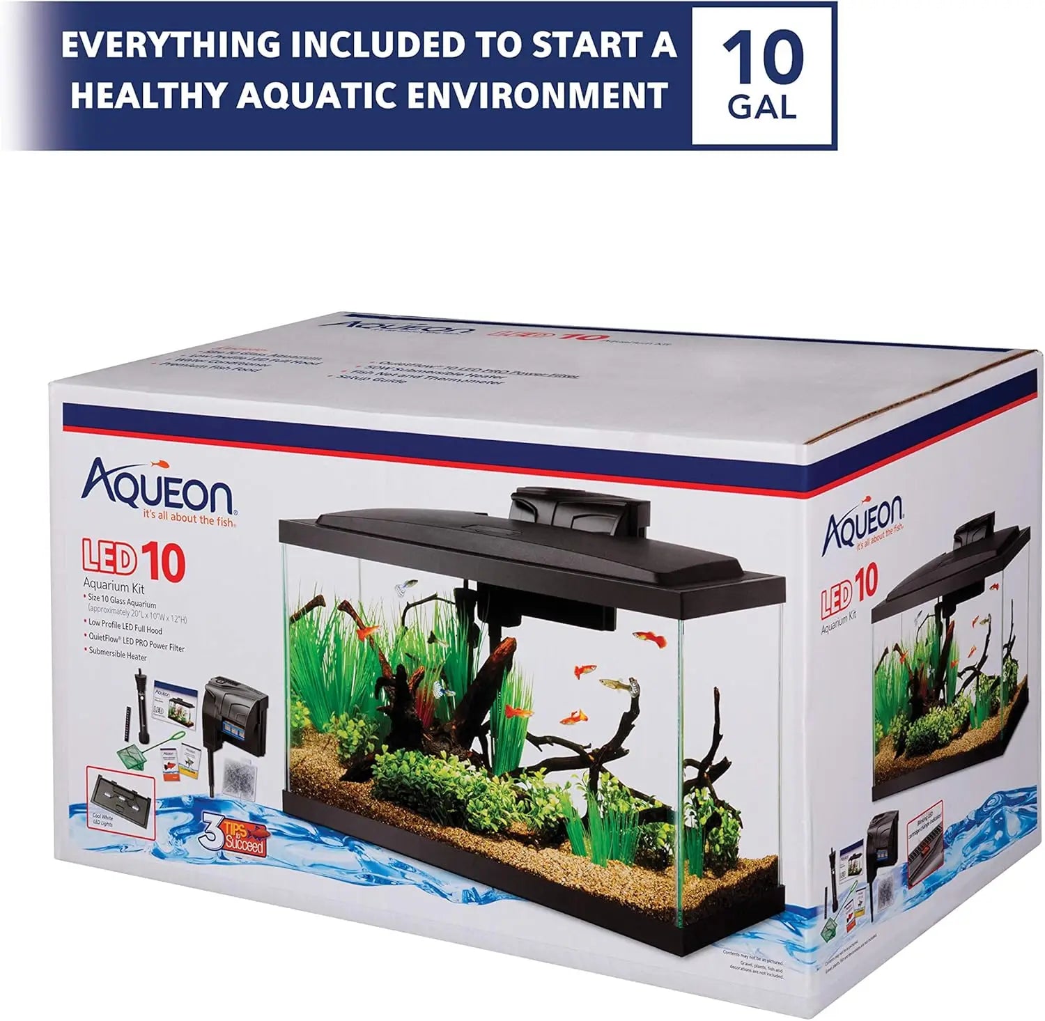 10 Gallon Aquarium Starter, Setup for Beginners