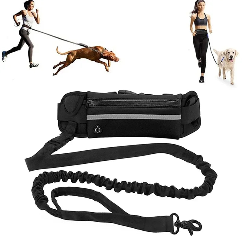 Hands Free Dog Leash for Running Walking