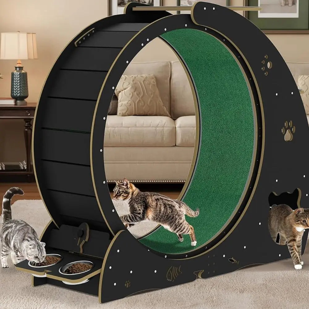 Silent Cat Exercise Wheel