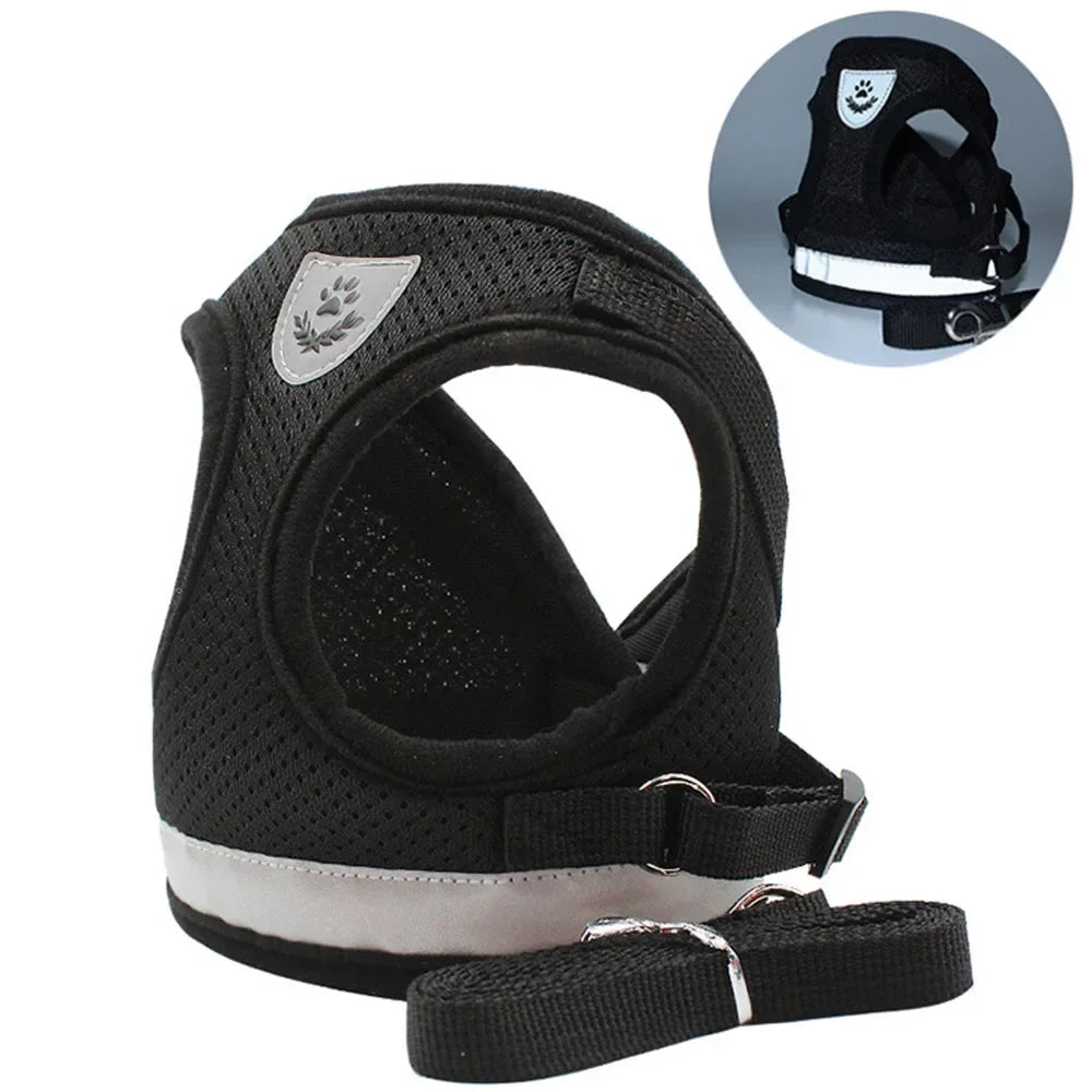Cat Harness Lead Leash Set