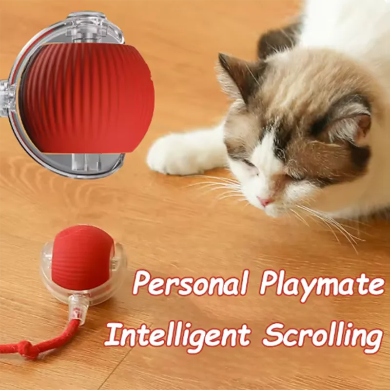 Intelligent interactive cat, dog ball