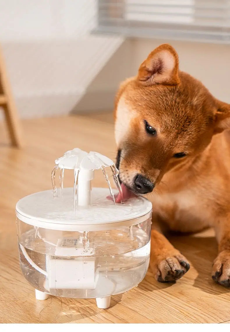 Pet Water Fountain