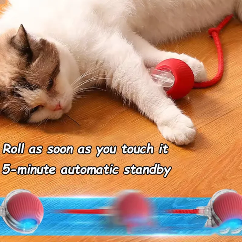 Intelligent interactive cat, dog ball