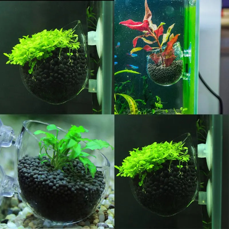 Acrylic Aquatic Plant Cup