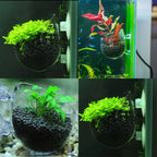 Acrylic Aquatic Plant Cup