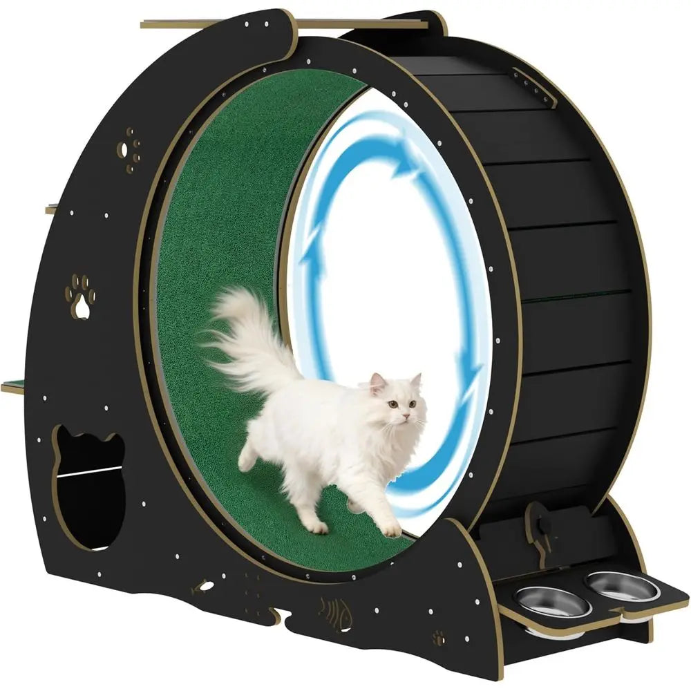 Silent Cat Exercise Wheel