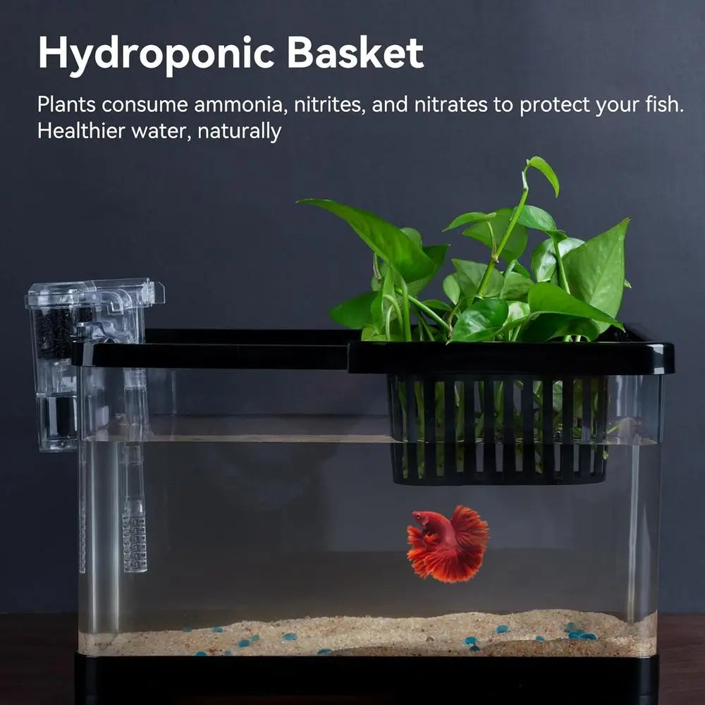1.8 Gallon Aquarium Kit