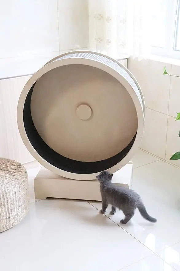 Spin-Kitty Cat Exercise Wheel