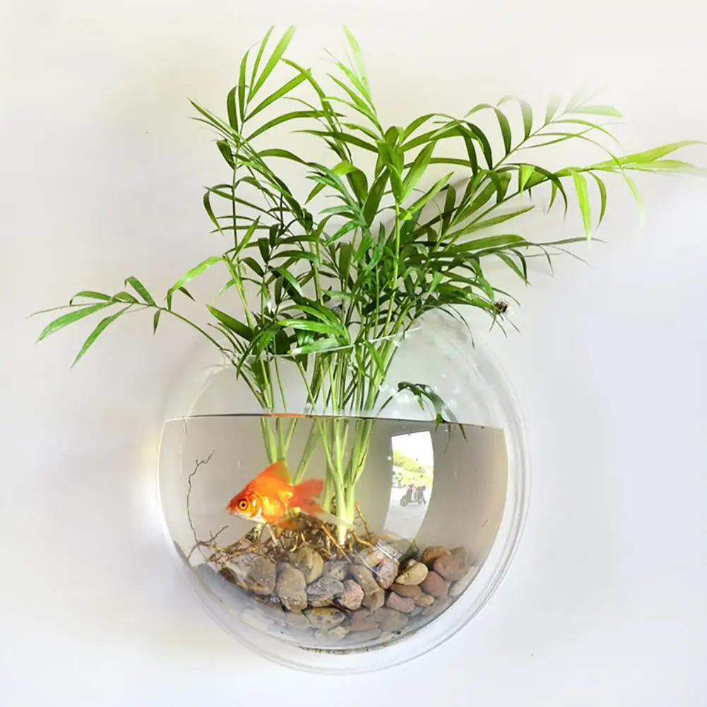 Aquariums Pack Wall Hanging Glass