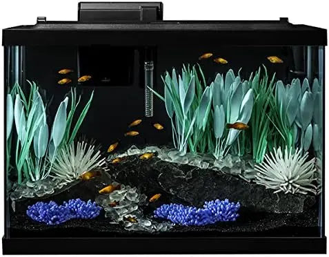 20 Gallon Aquarium Kit