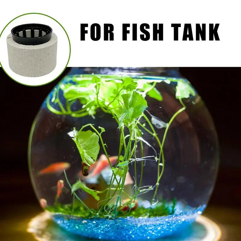 10/20Pcs Aquatic Landscape plant holder