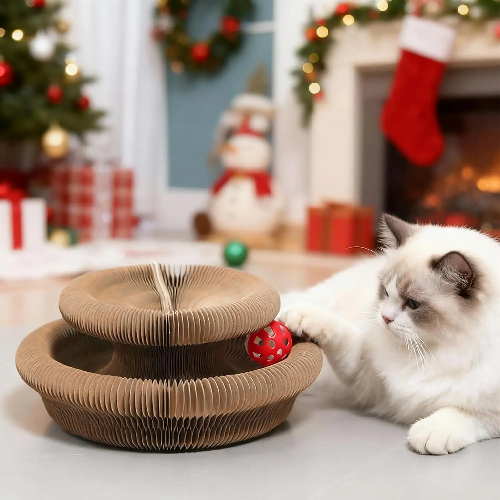 Interactive Accordion Cat Scratcher Toy