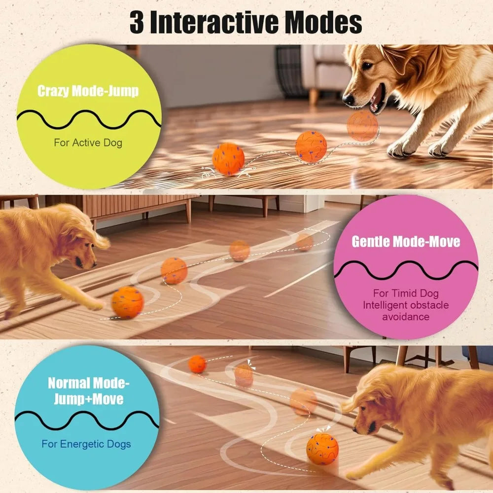 Interactive Dog Ball