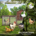 Large Wooden Chicken Coop, 160IN Outdoor