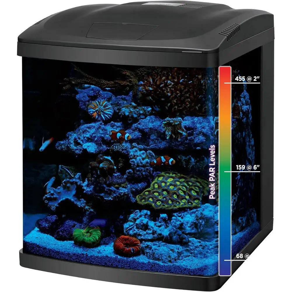BioCube, Aquarium Kit