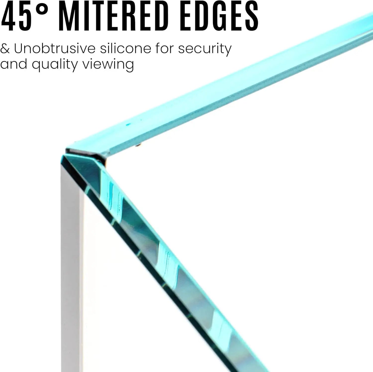 2 Gallon Shallow Tank