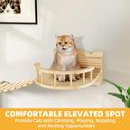 Solid Wood Cat Wall Shelves