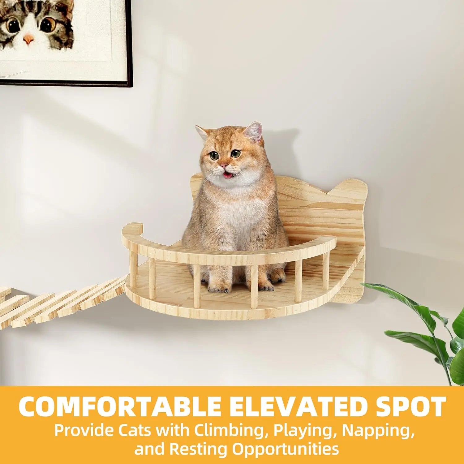 Solid Wood Cat Wall Shelves