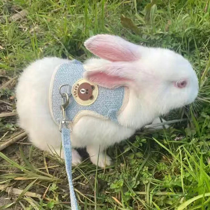 Outdoor Harness and Leash Set for pets