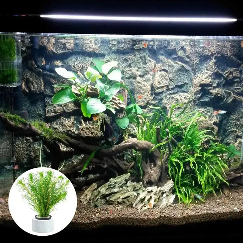 10/20Pcs Aquatic Landscape plant holder
