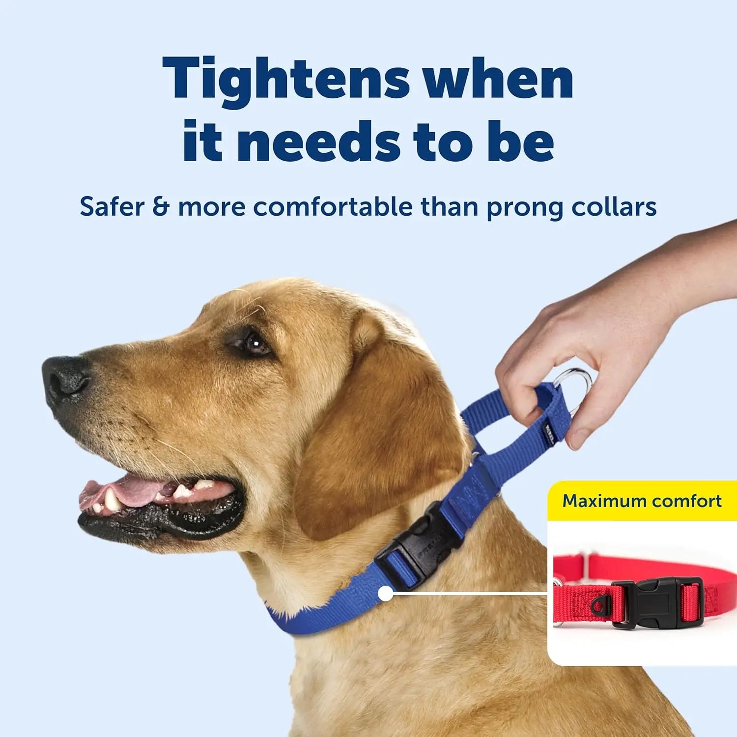 Adjustable Martingale Dog Collar