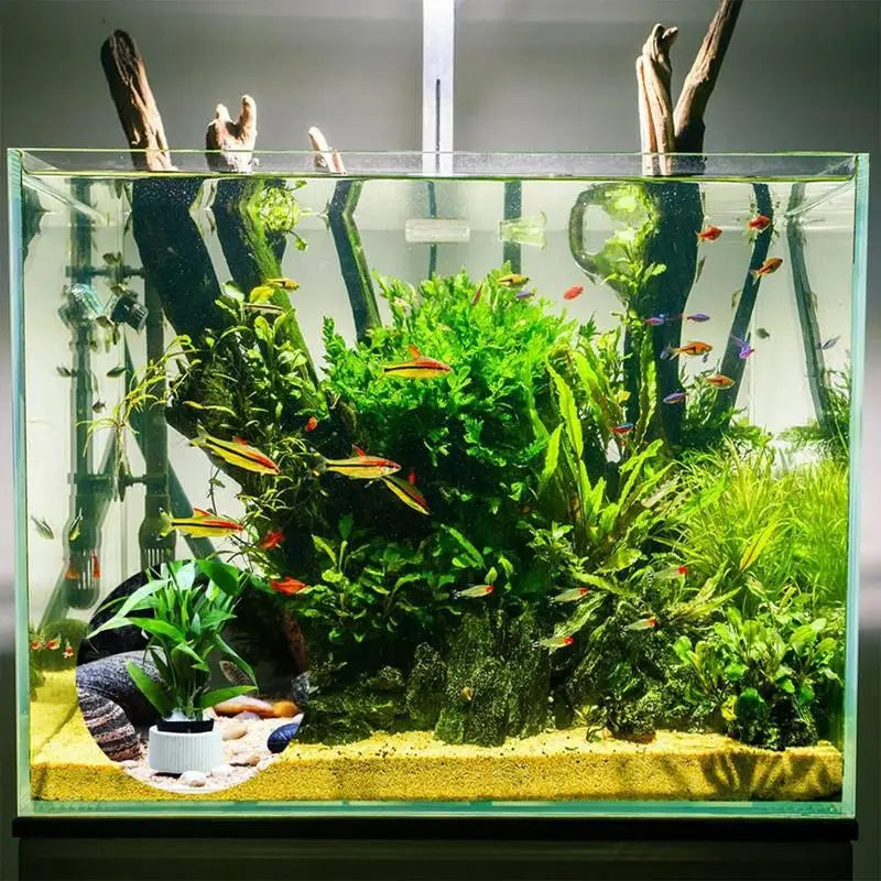 10/20Pcs Aquatic Landscape plant holder