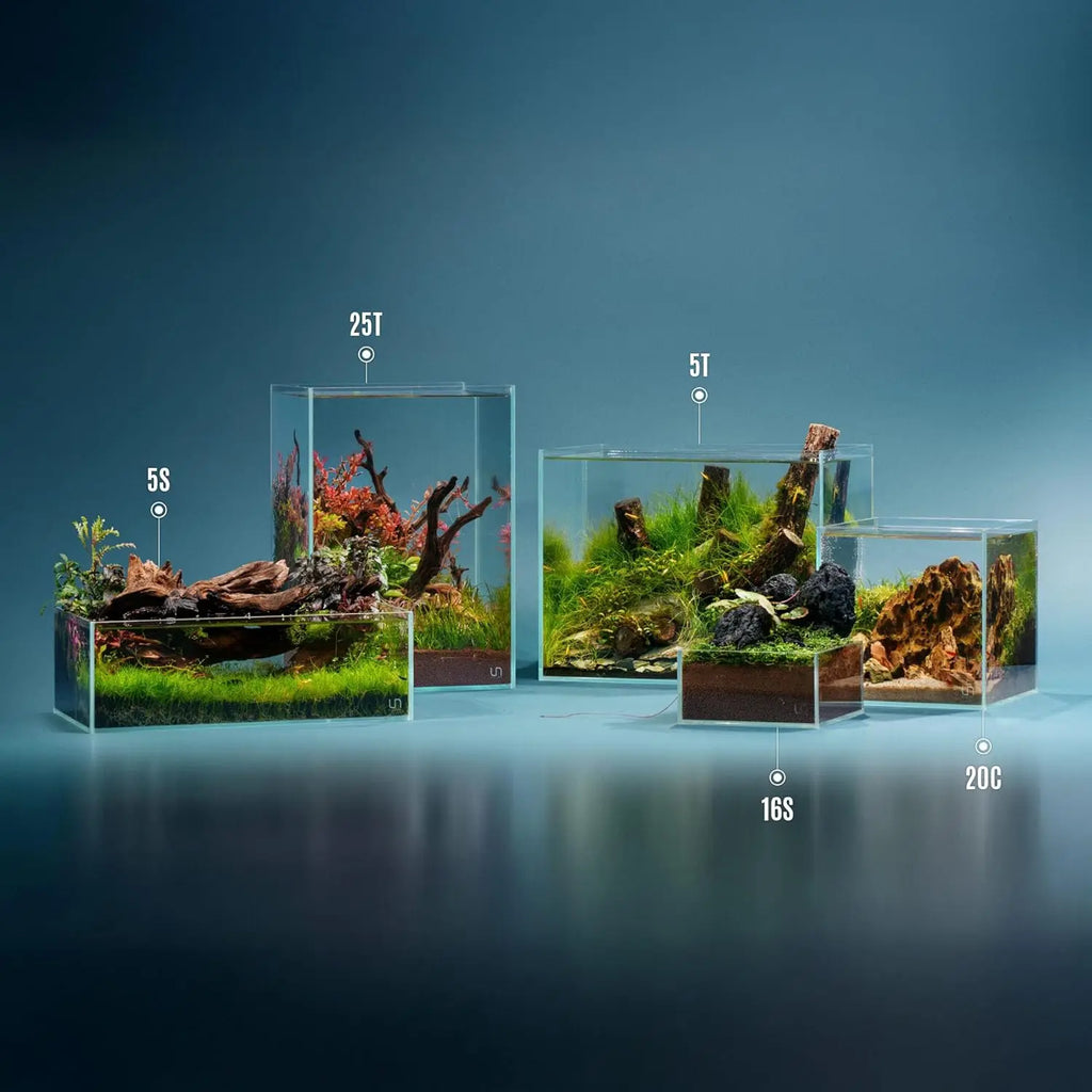 2 Gallon Shallow Tank