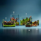2 Gallon Shallow Tank